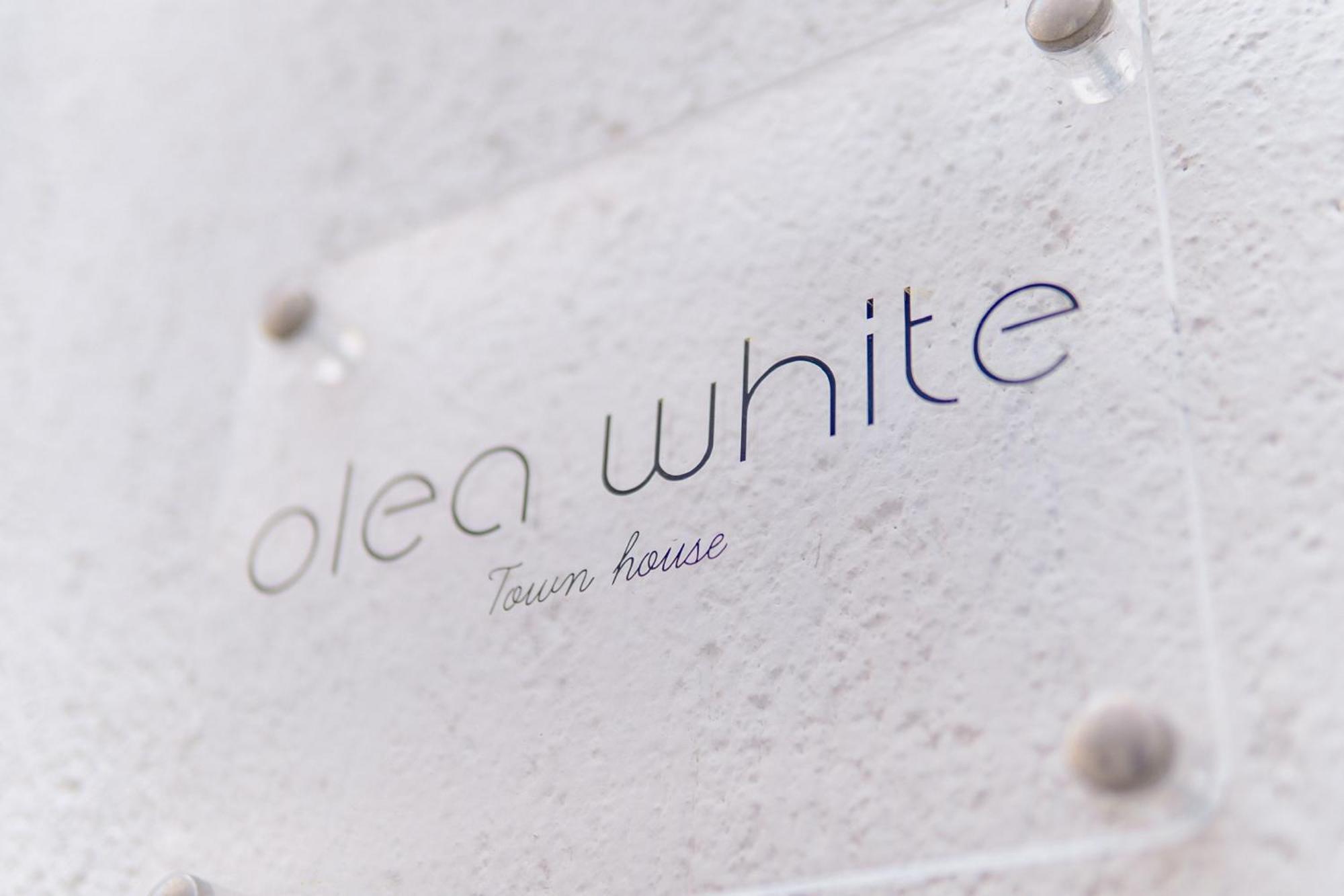 הוילה העיירה סקיאתוס Olea White מראה חיצוני תמונה